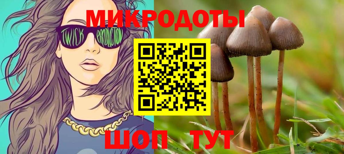 Галлюциногенные грибы прущие грибы  Псилоцибиновые грибы Magic Shrooms  Тамбов  Вход с VPN 